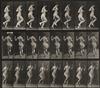 MUYBRIDGE, EADWEARD (1830-1904) Pair of plates from Animal Locomotion, both featuring women, plate numbers 185 and 187.
